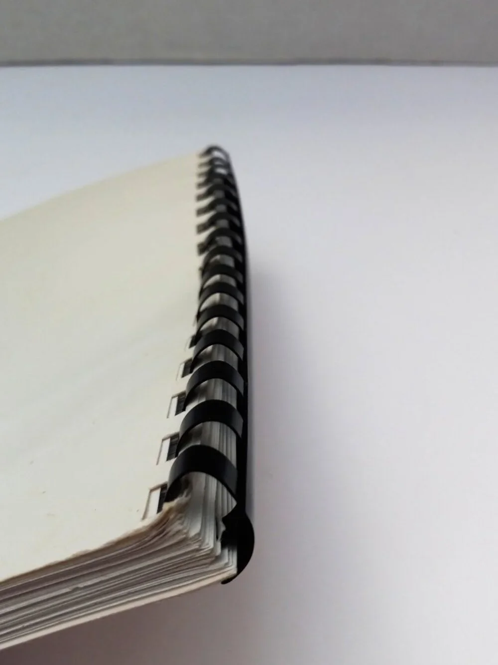 The Oldest Sister Gets Tasteful Spiral Bound Cookbook Recipe Book Judy Olson Amy